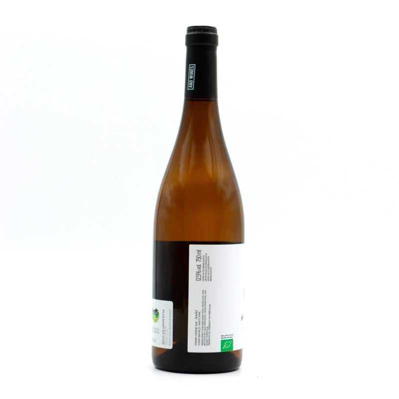 Monólogo Avesso Branco