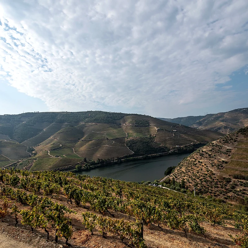 Weintasting Portwein am 30.10.2026 um 18:30 Uhr | Adega Exclusiva
