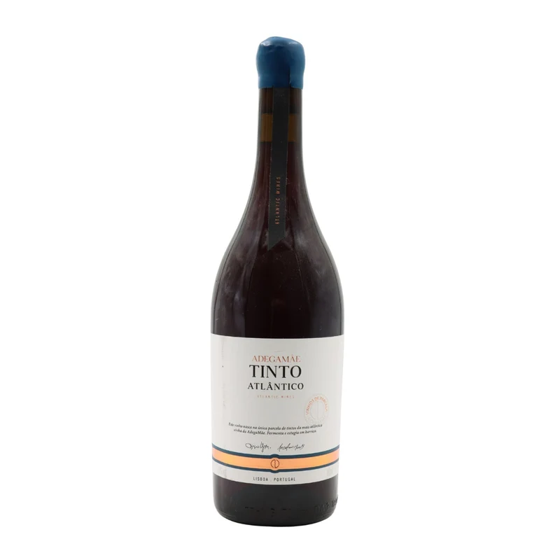 Adega Mãe Atlântico Pinot Noir Tinto