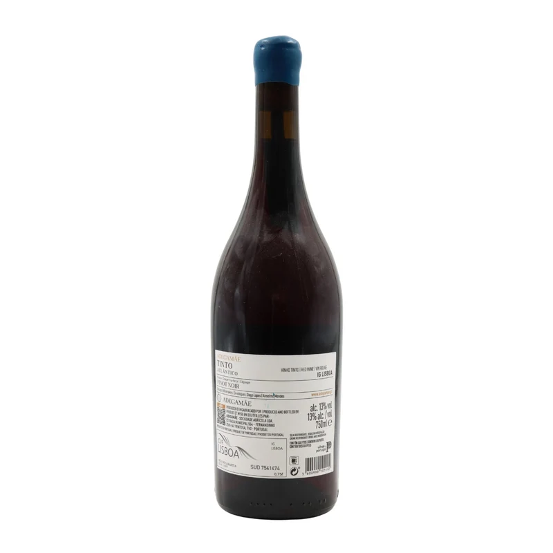 Adega Mãe Atlântico Pinot Noir Tinto