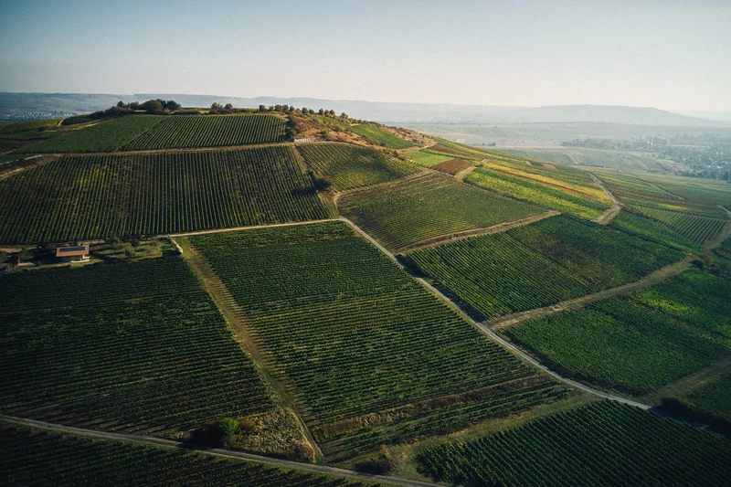 GRATIS GESCHENK AB 1500€: PARADIES RIESLING TROCKEN DOPPELMAGNUM
