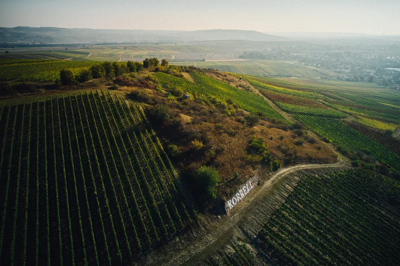 IM HONIGBERG am Bosenberg Riesling trocken
