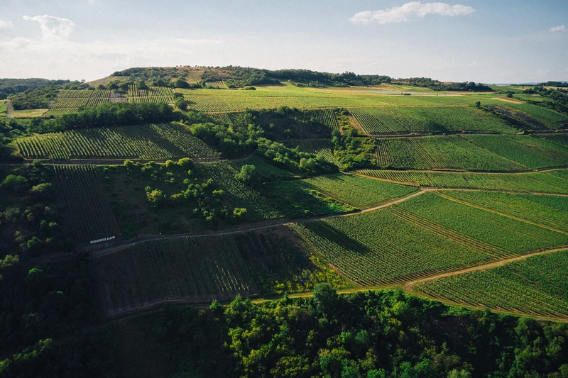 NIEDERHÄUSER KLAMM Riesling trocken