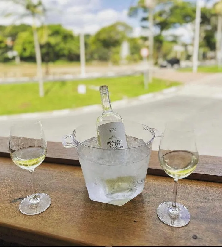Malagousia Domaine Costa Lazaridi