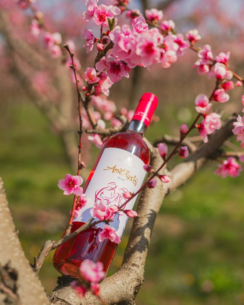 Amethystos Rosé - Costa Lazaridi