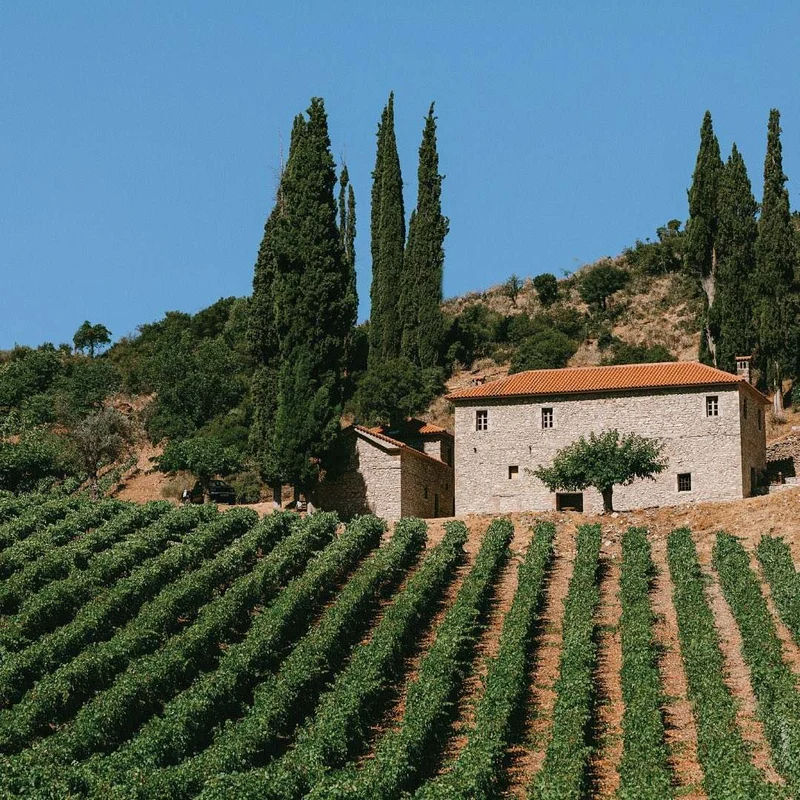 Mega Spileo Grande Cave - Domaine Mega Spileo