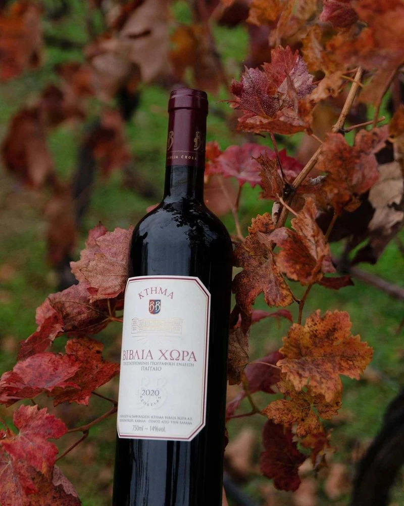 Biblia Chora Rotwein