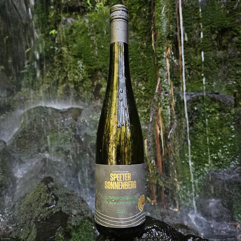 2023 Sauvignon Blanc Neuleininger Sonnenberg trocken